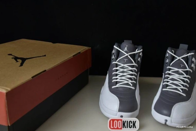 JORDAN CT8025-610 STEALTH 12 AIR 1128